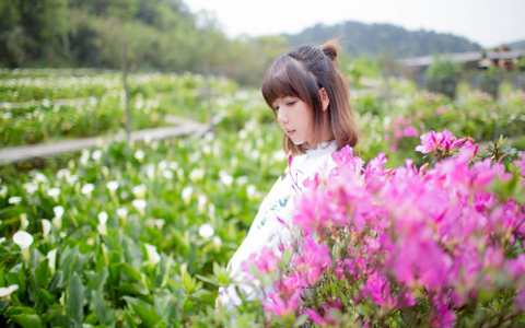 阿拉德之怒第二版通用充值后台